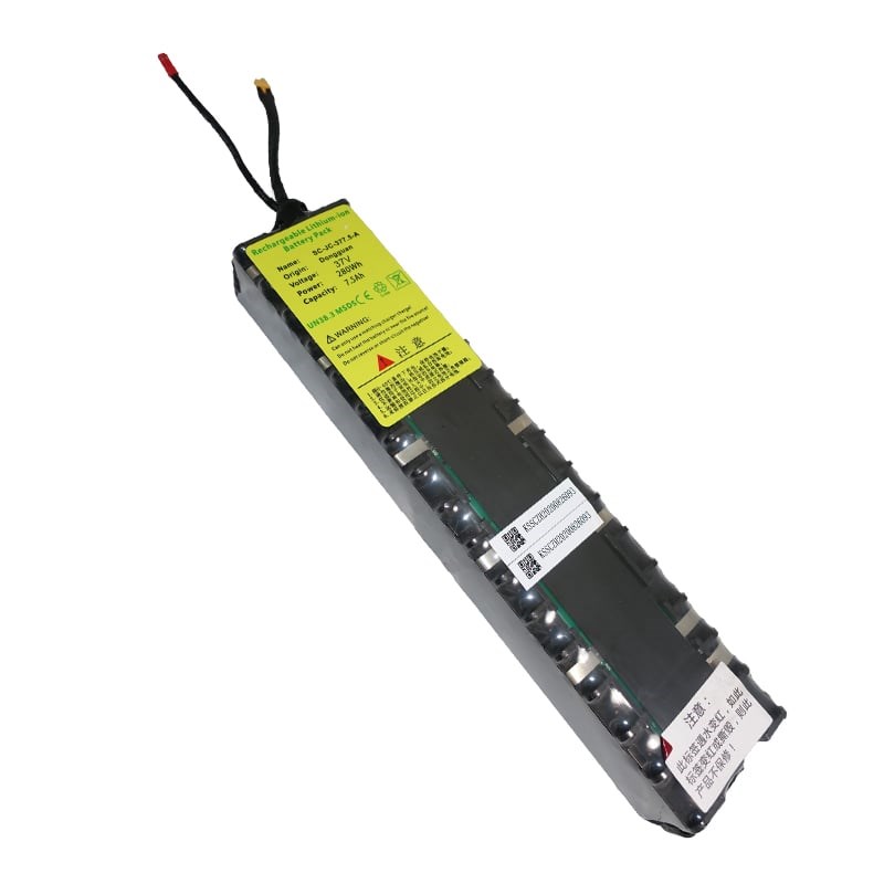 Batteri (E2S V2/Pro 2020)