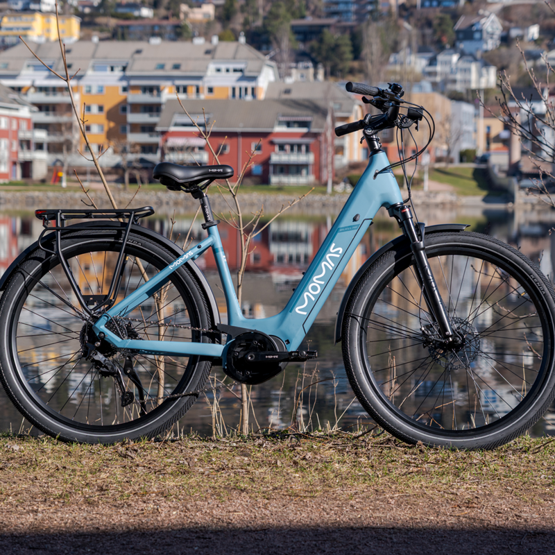 Momas Balance Pro 2026 - M (750Wh EN50604 battery, Digiwise display)