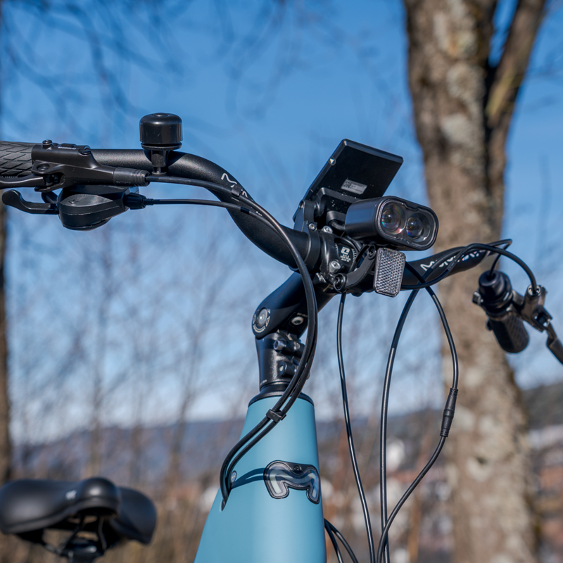 Momas Balance Pro 2026 - M (750Wh EN50604 battery, Digiwise display)