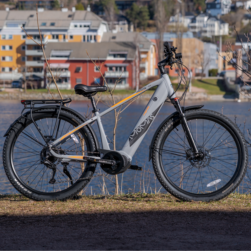 Momas Jason+ SUV 2026 - Grey - L (630Wh EN50604 battery, Digiwise display)