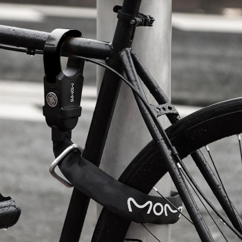 Momas ramlås med alarm