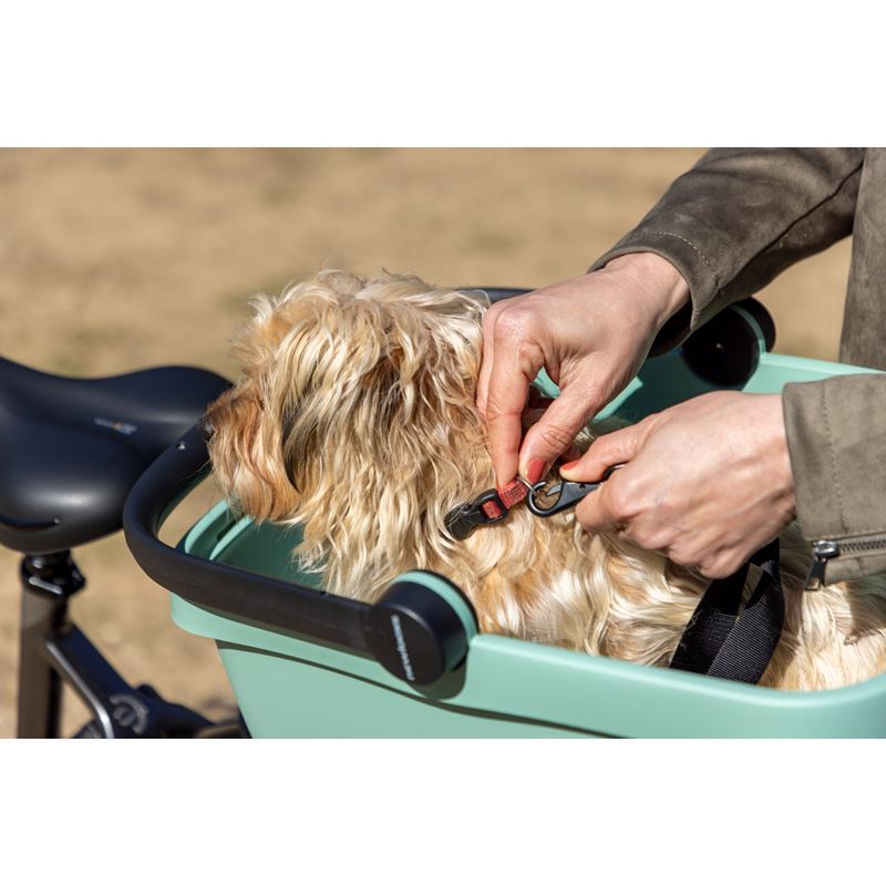 Newlooxs Clipper - Husdjurspaket