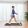 Kingsmith WalkingPad R2 Xiaomi