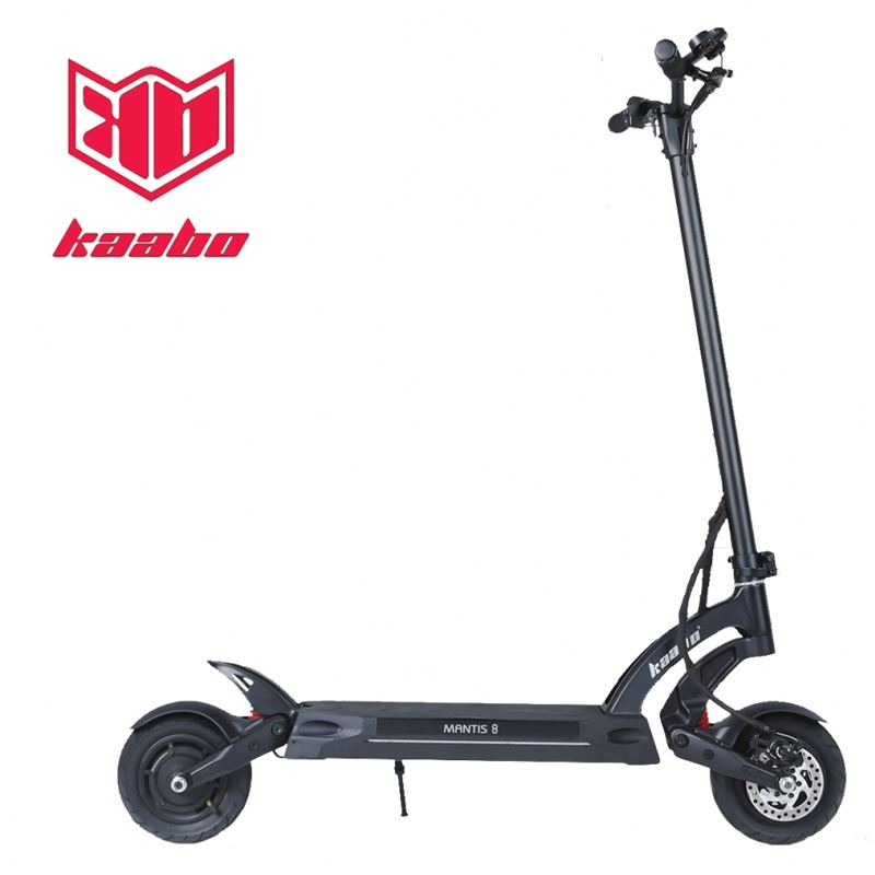 Mantis 8.jpg
