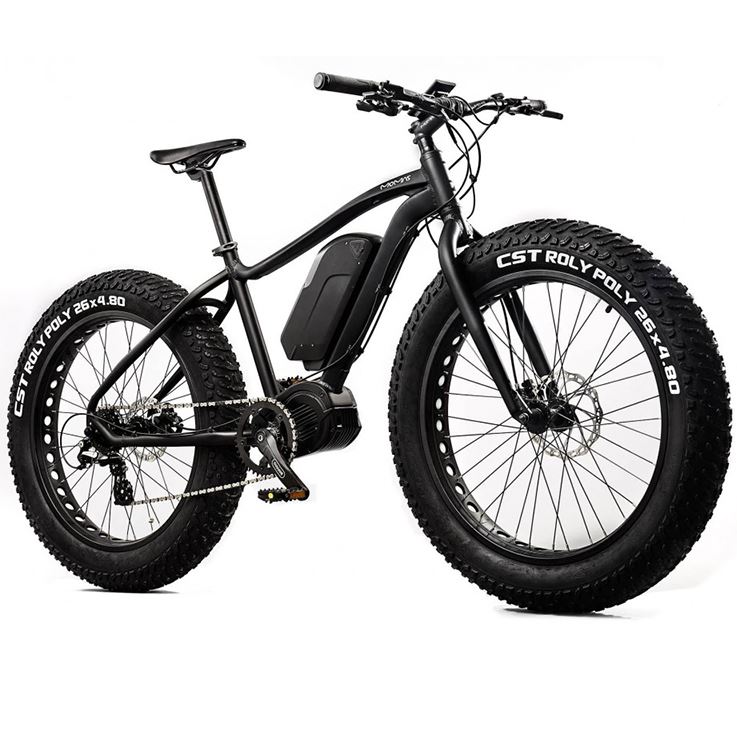 Momas F1000 2022