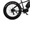 Momas F1000 2022