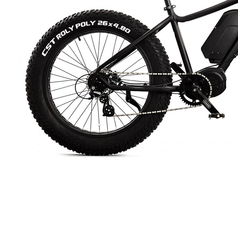 Momas F1000 2022