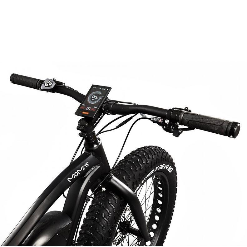 Momas F1000 2022