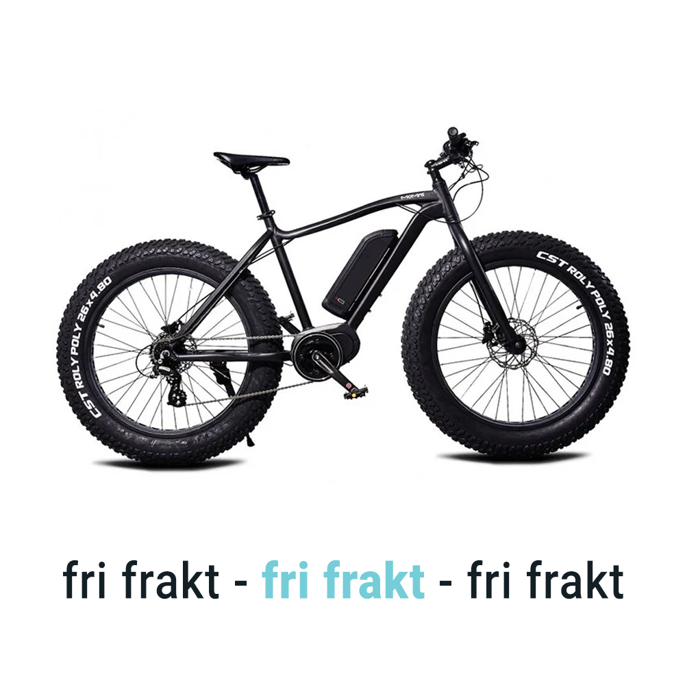 Momas F2 250W M