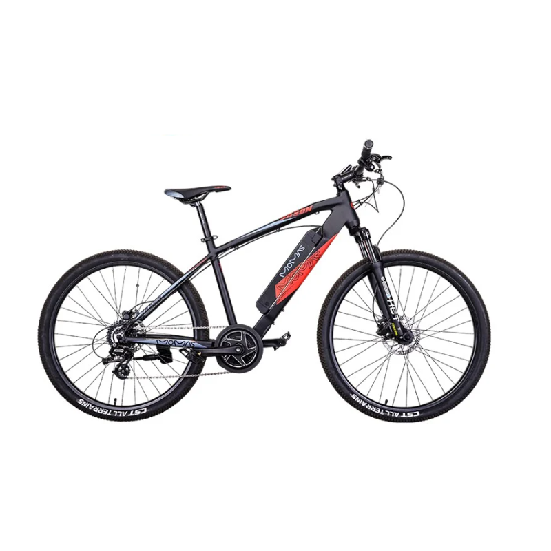 Momas Elsykkel Test
