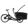 Triobike Boxter